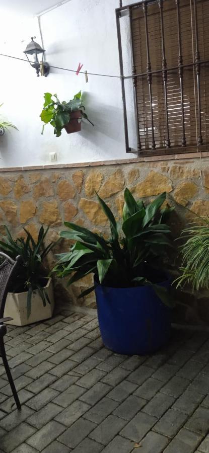 Casa Cueva El Almendro Guest House Pegalajar Eksteriør bilde