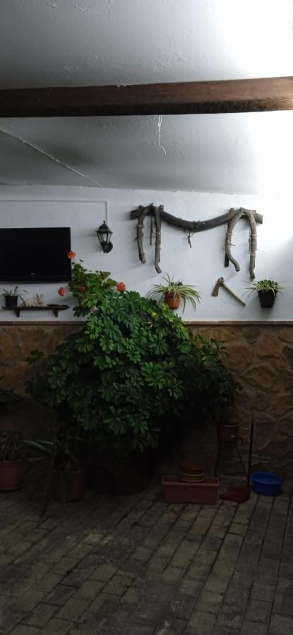 Casa Cueva El Almendro Guest House Pegalajar Eksteriør bilde